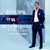 The Best Oldies Collection (Ethiopian Contemporary Music) artwork