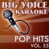 Karaoke Pop Hits - Backing Tracks for Singers, Vol. 55