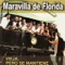 Popurri de Exitos de Maravilla - Maravilla de Florida lyrics