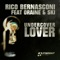 Undercover Lover (Froidz Remix) - Rico Bernasconi lyrics