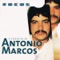 Gaivotas... (Para Roberto Carlos) - Antonio Marcos lyrics