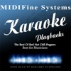 MIDIFine Systems - Blood Sugar Sex Magik