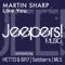 Like You (Hetto & 6ft7 Remix) - Martin Sharp lyrics