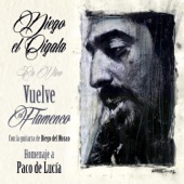 Vuelve el Flamenco: Homenaje a Paco de Lucía (feat. Diego del Morao) [En Vivo] artwork