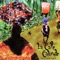 La Negra Tomasa - La Calle Caliente lyrics