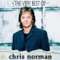 No Arms Can Ever Hold You - Chris Norman lyrics