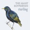Starling - This Many Boyfriends lyrics