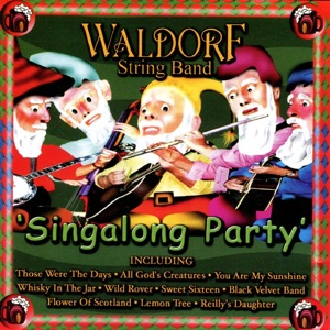Waldorf String Band - Mountain Dew - Line Dance Musique