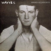 Wavves - Everything Is My Fault