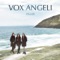 Moonlight Shadow - Vox Angeli lyrics