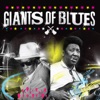 Giants of Blues, 2011