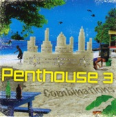 Penthouse Combinations 3