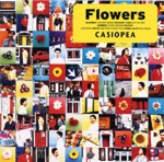 Casiopea - Transient View