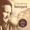Ole Reinert Berg-Olsen - Stormer (feat. Steinar Albrigtsen & Monika Nordli)
