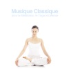 I Musici - Adagio in G Minor