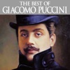 The Best of Giacomo Puccini artwork