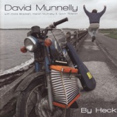 David Munnelly - 'P' Stands for Paddy