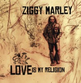 Ziggy Marley - Black Cat