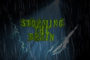 Stormin The Brain 1