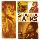 Shabba Ranks - Fanciness (feat. Lady G) [Ragga Club Lick]