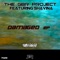 Damaged (Ramorae Remix) [feat. Shavina] - The GBR Project lyrics