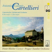 Clarinet Concerto No. 1 in B-Flat Major: II. Larghetto artwork