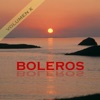 Boleros, Vol. X, 1988