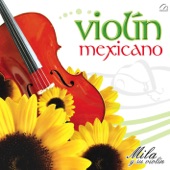 Violin Mexicano artwork