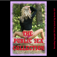 Tracy Bond, Debbie Brownstone, D.P. Backhaus, Julie Bosso, Nancy Brockton, Jane Kemp, Stacy Reinhardt, Veronica Halstead & Cindy Jameson - The Public Sex Collection: Twenty Erotica Stories (Unabridged) artwork