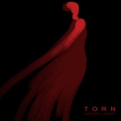 Torn artwork