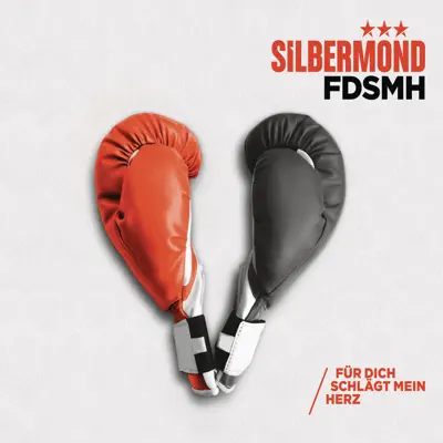 FDSMH (Für dich schlägt mein Herz) - Single - Silbermond