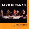 Live Iguanas: Live at Wolf Trap artwork