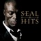 Seal - I Can't Stand The Rain