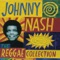 Intro (Northwest Speedway Remote) - Johnny Nash lyrics