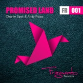 Andy Rojas - Promised Land
