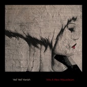 Midnight In the Rue Jules Verne - Veil Veil Vanish