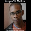 Keepin' It Mellow - Single, 2012