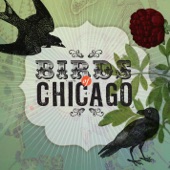 Birds of Chicago - Flying Deams