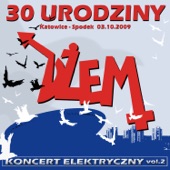 30. Urodziny. Koncert Elektryczny, Vol. 2 artwork
