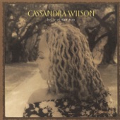 Cassandra Wilson - Darkness On the Delta