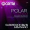 Polar 2009 (Submission Djs & DJ Nano Remix) - Submission DJ's & DJ Nano lyrics