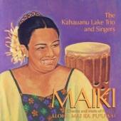 Aloha Kauai artwork