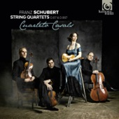 String Quartet No. 10 in E-Flat Major, D. 87: II. Scherzo. Prestissimo artwork