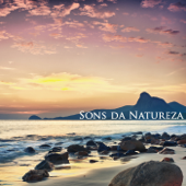 Sons da Natureza - Relaxamento e Meditação, Bem Estar e Musicas para Relaxar - Relaxamento Soundscape
