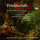 Ferdinando Carulli - Grand Duo for Guitar and Fortepiano in E Minor, Op. 86: I. Allegro