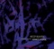 A Dark and Silent Place - Deborah Martin lyrics