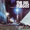The Best of the del Fuegos: The Slash Years artwork