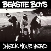 Check Your Head (Deluxe Version) [Remastered] artwork