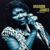 Marion James - I Want to Be Loved (But By Only You)