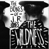 La La Liar by The Bones of J.R. Jones